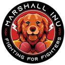 0x0913ddae242839f8995c0375493f9a1a3bddc977 icon