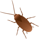 0x163c754ef4d9c03fc7fa9cf6dd43bfc760e6ce89 icon