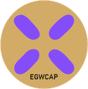 0x6aef0e5a3ddd864f7fbbf5ca7ce38852d39bf4d2 icon