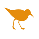 0x9da66fe42480141b4b238e9573a0f83880d83a51 icon