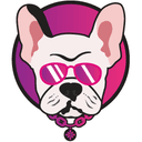 0xb16e967ff83de3f1e9fceafbc2c28c1c5c56ef91 icon