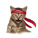 0xc56c7a0eaa804f854b536a5f3d5f49d2ec4b12b8 icon