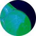 0xd0bf154768b0f1f8cba50daa8960c285ce4c67f2 icon