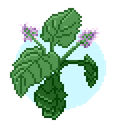 0xd2b93f66fd68c5572bfb8ebf45e2bd7968b38113 icon