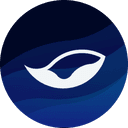 0xe1fc4455f62a6e89476f1072530c20cf1a0622da icon