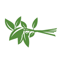 0xe09a504071c0c1483e86727fb95f550a0559d9d2 icon