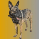 0x12b4356c65340fb02cdff01293f95febb1512f3b icon