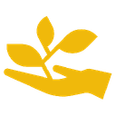 0x17bc015607fdf93e7c949e9ca22f96907cfbef88 icon