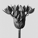 0x2b15bc62d1fb46ade4763a3c5ea0917460bb25f1 icon