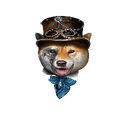 0x2f657932e65905ea09c7aacfe898bf79e207c1c0 icon