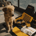 0x39f0d3cf3af17c685755314839f2d57e346681c9 icon