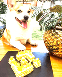 0x3a828e1ea6511e367d436c601e14cdb2b446896d icon