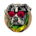 0x42873a833717753a8d77ad6d0a8710af2c66c052 icon