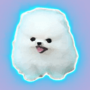 0x47fd00664661058546fddada3eecc9f2cd41020e icon