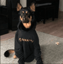 0x5043f271095350c5ac7db2384a0d9337e27c1055 icon