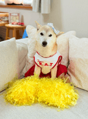 0x524ec3a03d7414304fe6b79de8b38e6812998ff2 icon