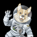 0x5a81b31b4a5f2d2a36bbd4d755dab378de735565 icon