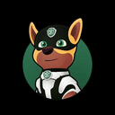 0x6904b1c25c91fbd9431621fbe495d7c49fcd171f icon