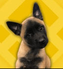 0x753fc5e107fd8c63dc84daa4bc08370f2c05ffc8 icon