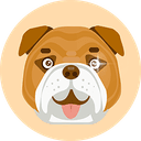 0x762a68697d7c8a0078bd1d79bd50d0f2ef8a8aaf icon