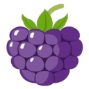 0x86bbc9838c3370e0fd570b4ee8087f5aca299977 icon