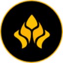 0x9899a98b222fcb2f3dbee7df45d943093a4ff9ff icon