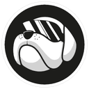 0xa4fffc757e8c4f24e7b209c033c123d20983ad40 icon