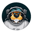 0xb74ed4112c23b7c8ef1439fa55d304d537c5599b icon