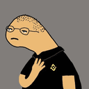 0xc3571b3f9721d07919dc42af7fce2784b56e8e3c icon