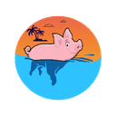 0xce393c06594a5d91210fd4f157cd8f6d86006d57 icon