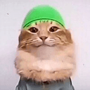 0xfa00e35a4a4fe600f4f63f9d165a1e8e258af8b8 icon