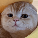 0x7a5f5ccd46ebd7ac30615836d988ca3bd57412b3 icon